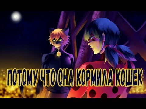 Видео: Потому что она кормила кошек | Фанфик Леди Баг и Супер Кот