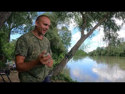 Видео: Рыбалка на Кубани в глуши ( где даже птицы не летают) Ч 1 .