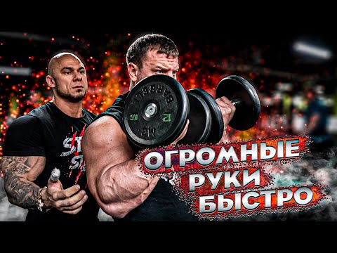 Видео: Пик Бицепса | Тренировка рук | Бицепс и трицепс | Руслан Халецкий Адам Абакаров