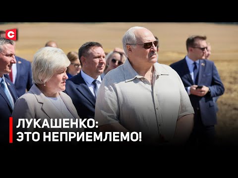 Видео: Лукашенко: Не дай Бог вы меня разозлите – мало не покажется! | Президент про падёж скота и уборочную