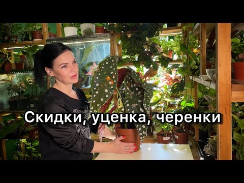 Видео: Обзор уценок, скидки, черенки🌱