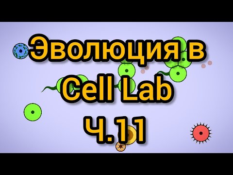 Видео: Cell Lab - 16400ч. - 20400ч. Эволюция при радиации 0,030, ускорение ×32