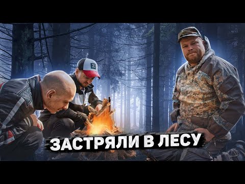 Видео: ОТДОХНУЛИ НА ПРИРОДЕ