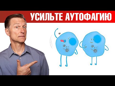Видео: 7 способов усилить аутофагию. Кому аутофагия может навредить?😲