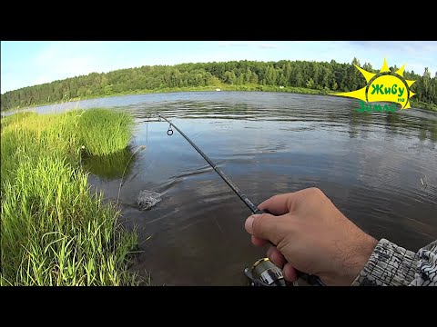 Видео: Оснастка для Безрыбных мест. Рыбалка на Отводной.
