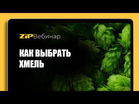 Видео: КАК ВЫБРАТЬ ХМЕЛЬ