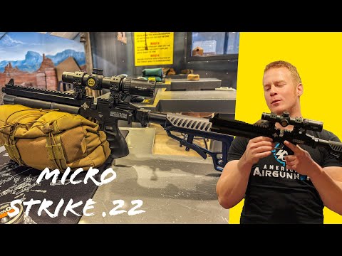 Видео: НОВЫЙ Air Venturi MICRO STRIKE: новейший ранцевый пневматический пистолет!! ПЕРВИЧНЫЙ ТЕСТ «ИЗ КО...