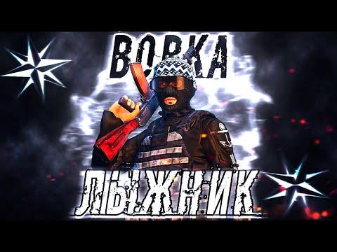 Видео: БРАТВА ПОПУСКАЕТ БЕСПРЕДЕЛЬЩИКОВ в STALKER RP | Dayz RP