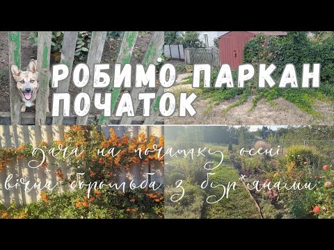 Видео: Дачні походеньки🌾🌤️ Розпочали будувати паркан🐕 Який буде колір паркану?😏  Пірокантова краса😍
