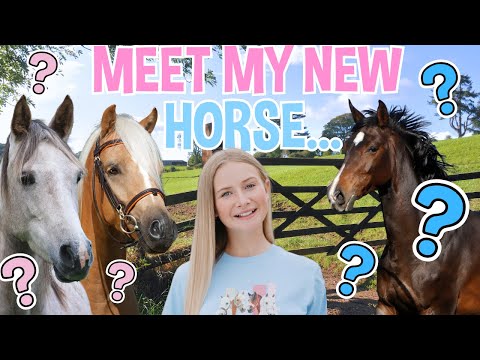 Видео: ЗНАКОМЬТЕСЬ С МОЕЙ НОВОЙ ЛОШАДЬЮ...