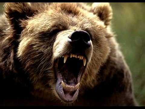 Видео: Сайрам-Ұғам ұлттық паркі.