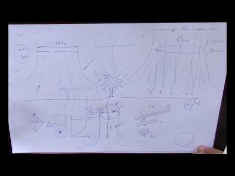 Видео: ДЛR#132. Скалы - неспиленные каменные деревья