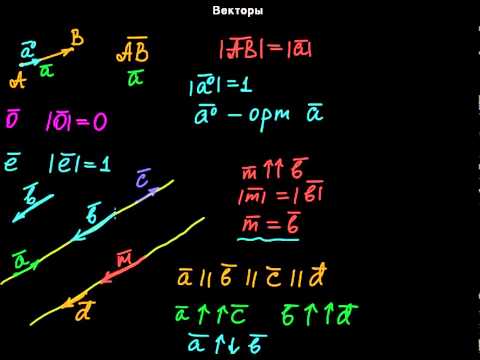 Видео: §1 Векторы