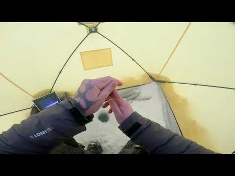 Видео: Серия √30 Рыбалка на налима и сига.