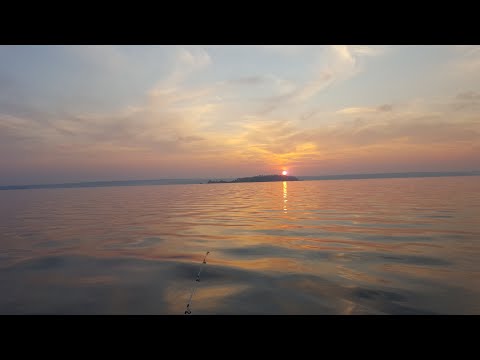 Видео: Аргази 10 07 22