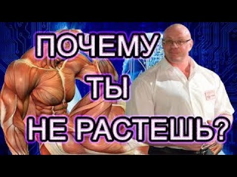 Видео: Супер Эфир с Андреем Замятиным Пик Бицепса, широчайшие, Глубина Приседа, Связь Мозг-Мышца