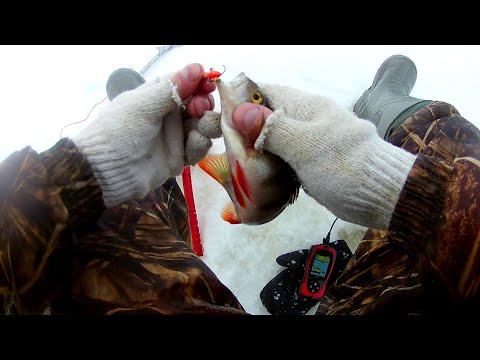 Видео: Ладога. Креницы. Рыбалка на окуня. Январь .