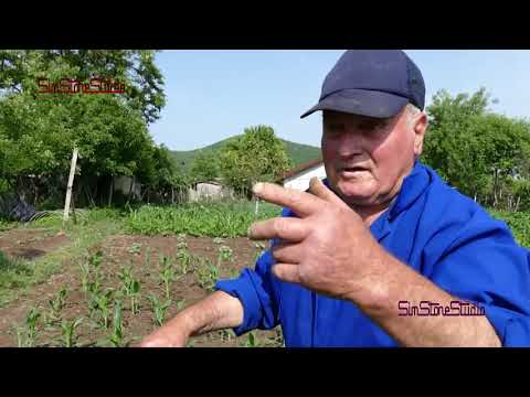 Видео: ВУЛКАНИЧНИ ПЕЙЗАЖИ