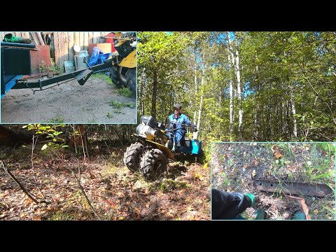Видео: Всё приехал... Дышло сказало "Гудбай!" Останки бывшей УЖД, грибы и металлолом лесорубов.