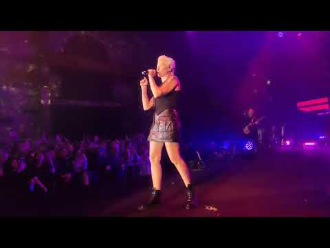 Видео: Ночные Снайперы - Кузнечики. 06.04.2025 Клуб Temple of deer. Санкт-Петербург.