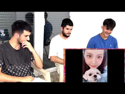 Видео: Реакция FNF на подборку редактирований BLACKPINK JISOO TIKTOK, часть №1😍🔥@daimozone@pikeoffnf @de...