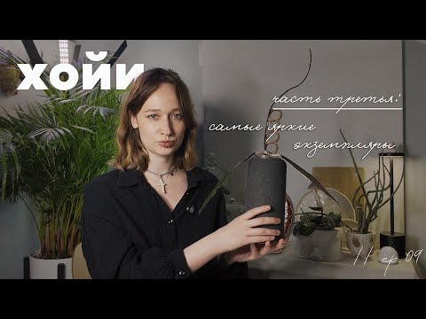 Видео: КОЛЛЕКЦИЯ ХОЙ: мармеладка и гнилой арбуз - часть 3 // ep. 09