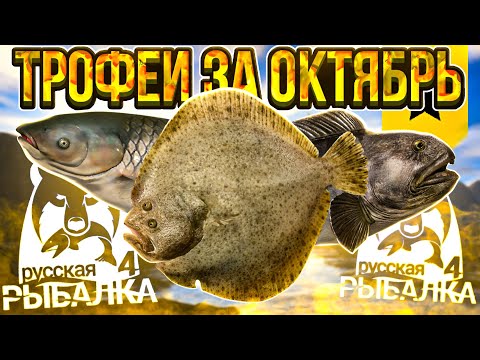 Видео: ТРОФЕИ ЗА ОКТЯБРЬ! | РУССКАЯ РЫБАЛКА 4 #рр4