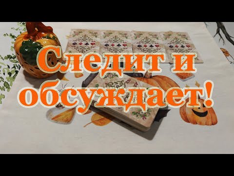 Видео: Следит за Вами и обсуждает! Наблюдает?