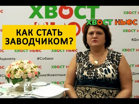 Видео: Как стать заводчиком собак или кошек?