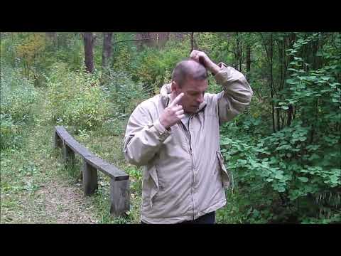 Видео: Выходной. Прогулка в лесу и рассказы.