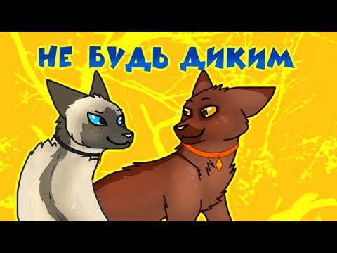 Видео: CatWar | Гайд | Как стать домашним