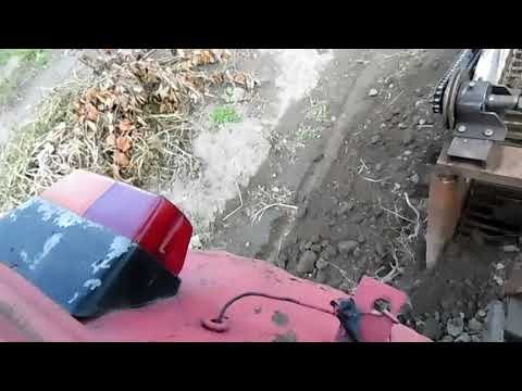 Видео: Испытываю новую транспортёрную копалку