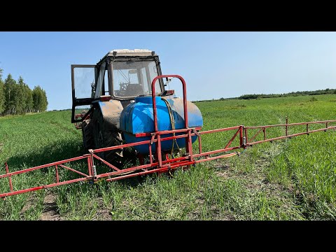 Видео: Борюсь с переросшим сорняком на ячмене.