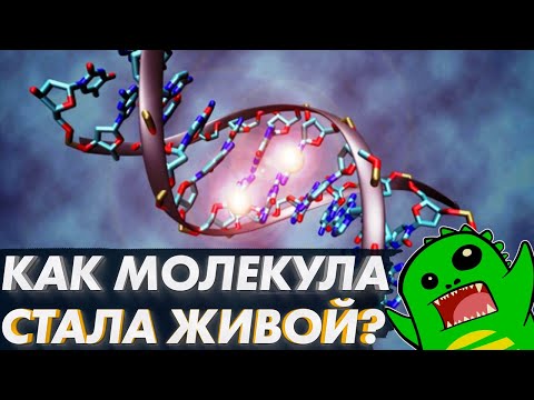 Видео: Как молекула стала ЖИВОЙ и почему надо учить химию, а не Библию | Эволюция | Разумный замысел