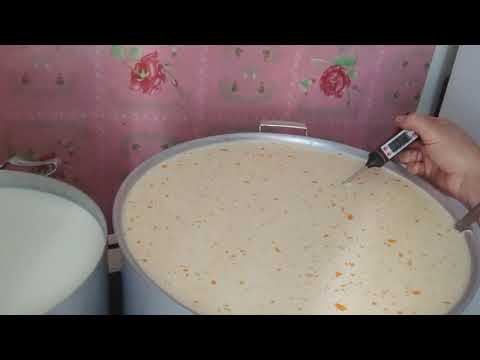 Видео: як я роблю сир Качота.