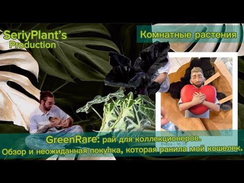 Видео: GreenRare: рай для коллекционеров. Обзор и неожиданная покупка, которая ранила мой кошелек.