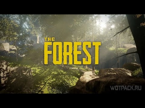Видео: The Forest №1 Начало положено