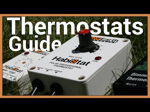 Видео: Как использовать термостаты для рептилий!