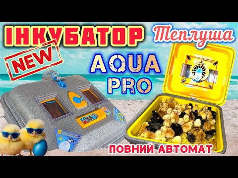 Видео: ✅Інкубувати стало ЛЕГШЕ‼️Новий ІНКУБАТОР Теплуша Euro88 AQUA Pro🐥Він зробить все сам і навіть більше