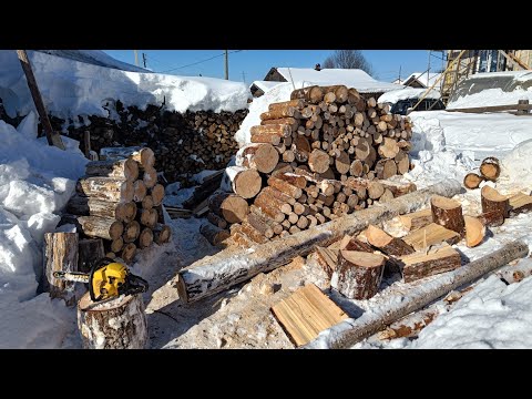 Видео: Заготовка дров. Пилю дрова бензопилой Чемпион 241. Пошло дело!