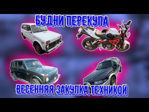 Видео: Будни перекупа. Первый дизель на продажу. Стелс 600 кубов. Нива 2 хозяина, капсула времени?