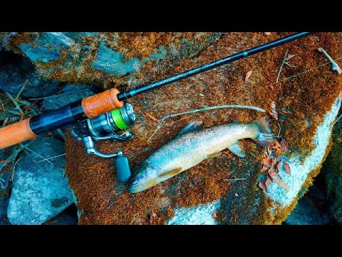 Видео: РЫБАЛКА. ЛОВЛЯ ДИКОЙ ФОРЕЛИ НА СИЛИКОН