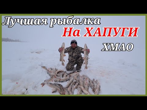 Видео: Как рыбачат Ханты.Щуки порвали все хапуги. Хмао-югра.