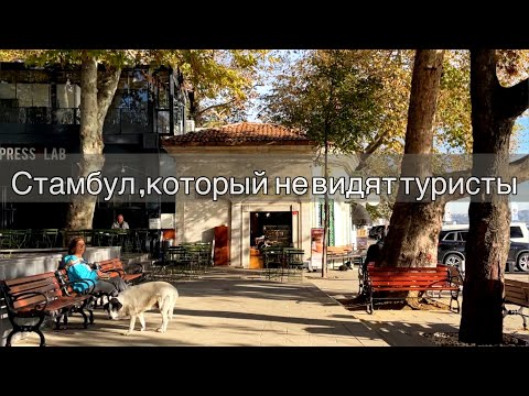Видео: ТАЙНЫЕ МЕСТА В СТАМБУЛЕ.КУДА СБЕЖАТЬ ОТ ТОЛП ТУРИСТ.МЕЖДУ ПРОШЛЫМ И НАСТОЯЩИМ.