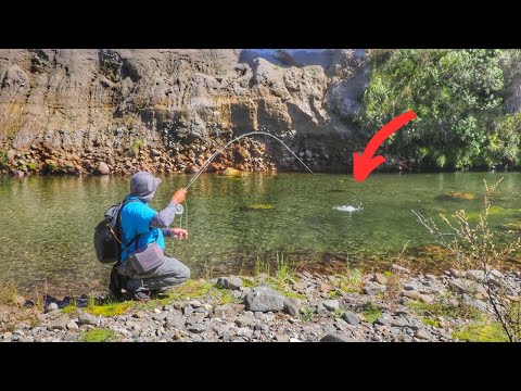 Видео: РЫБАЛКА на СТРАШНУЮ рыбу в МЕЛОй, ЧИСТОЙ РЕКЕ и ЛУЧШИЙ походный обед НА СВЕТЕ!!!!