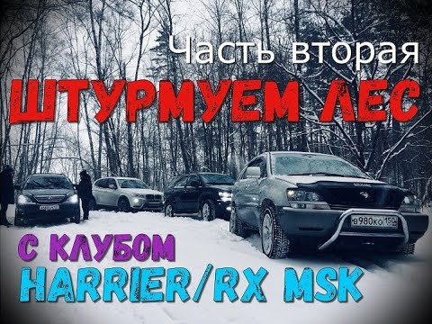 Видео: Штурмуем лесные дороги с клубом Toyota Harrier / Lexus RX Msk 16.01.21 (часть 2)