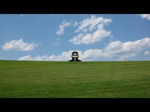 Видео: Два придурка умирают от смеха, глядя на видеоролики в Instagram