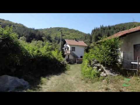 Видео: с Чуйпетлово