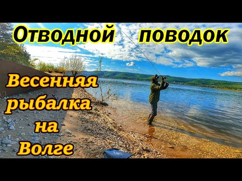 Видео: ОТВОДНОЙ ПОВОДОК/ЛОВЛЯ ХИЩНИКА/РЫБАЛКА НА СПИННИНГ/ЛОВЛЯ ОКУНЯ НА ОТВОДНОЙ ПОВОДОК/САМАРА,ВОЛГА/2024