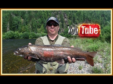 Видео: РЫБАЛКА . АГУЛ .ИЮЛЬСКИЙ ПОХОД . VOVAN - ФИЛЬМ.